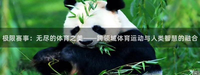 九球体育平台登录入口：极限赛事：无尽的体育之美——跨领域体育运动与人类智慧的融合