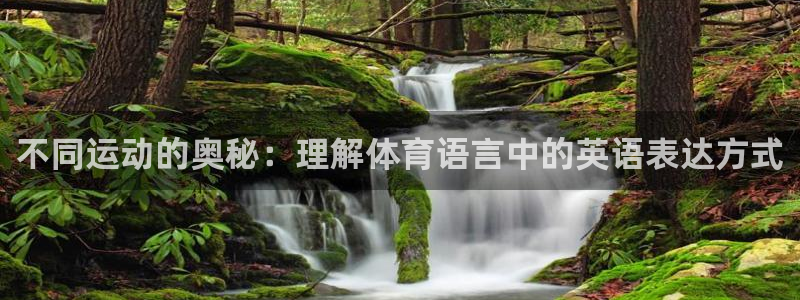 九球体育竞彩足球赛事：不同运动的奥秘：理解体育语言中的英语表达方式