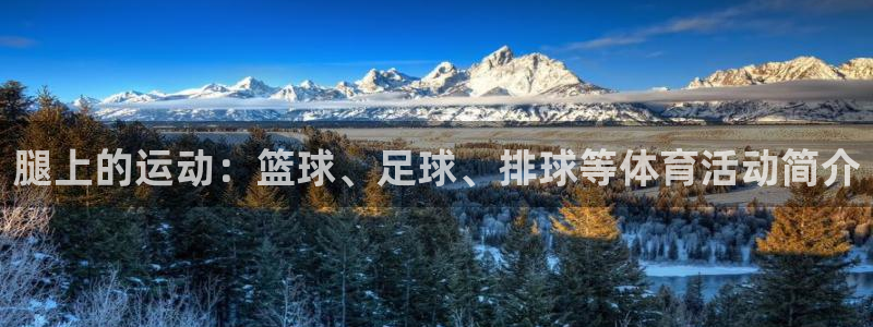 九球体育无插件直播：腿上的运动：篮球、足球、排球等体育活动简介