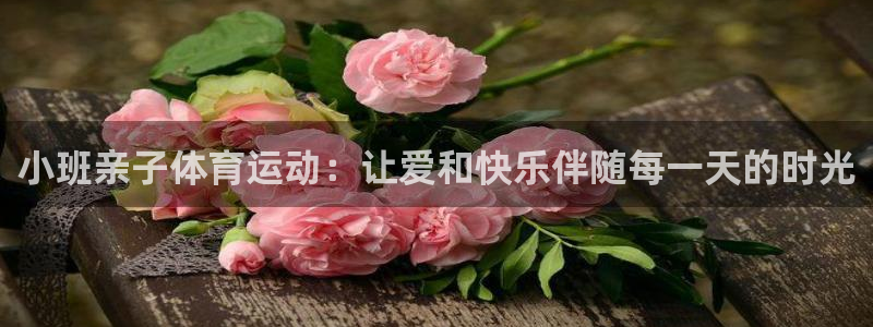 九球体育nba小仙儿：小班亲子体育运动：让爱和快乐伴随每一天的时光