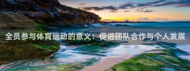 九球体育小仙儿直播：全员参与体育运动的意义：促进团队合作与个人发展