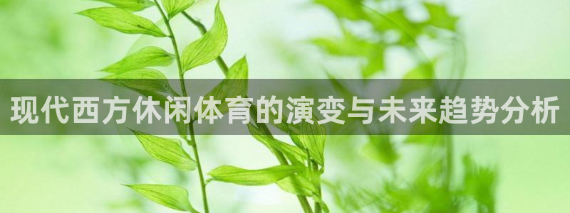 九球体育直播nba小仙：现代西方休闲体育的演变与未来趋势分析