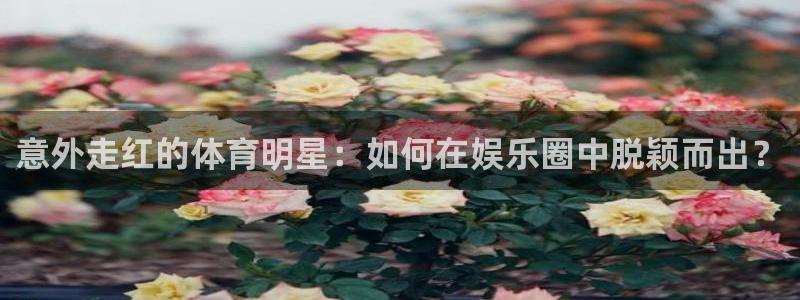 九球体育录像在线观看：意外走红的体育明星：如何在娱乐圈中脱颖而出？