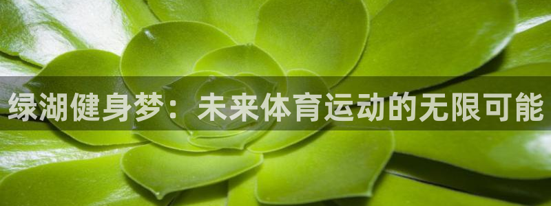 九球体育m.tydop：绿湖健身梦：未来体育运动的无限可能